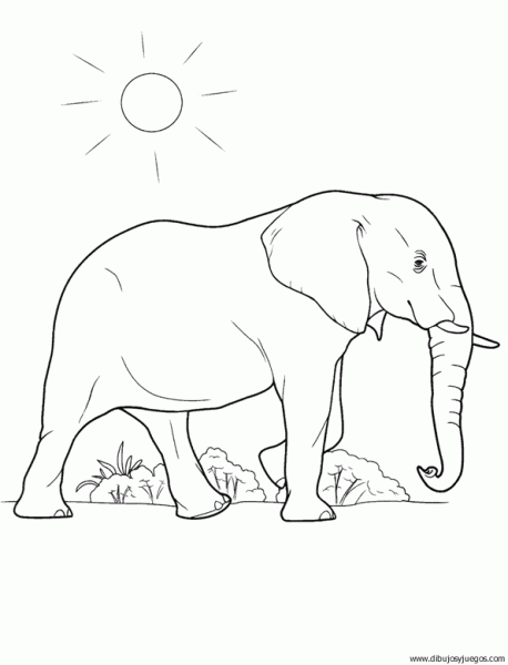 dibujo-de-elefante-036.gif