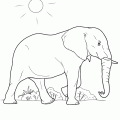 dibujo-de-elefante-036