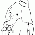 dibujo-de-elefante-038