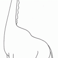 dibujo-de-girafa-022