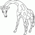 dibujo-de-girafa-032