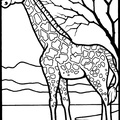 dibujo-de-girafa-045