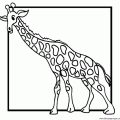 dibujo-de-girafa-046
