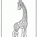dibujo-de-girafa-050