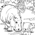 dibujo-de-hipopotamo-002