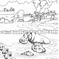 dibujo-de-hipopotamo-006