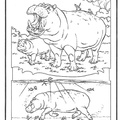 dibujo-de-hipopotamo-014