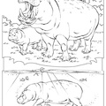 dibujo-de-hipopotamo-019