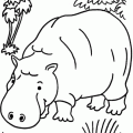 dibujo-de-hipopotamo-024