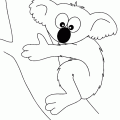 dibujo-de-koala-006