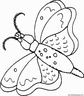 dibujo-de-mariposa-019