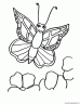 dibujo-de-mariposa-024