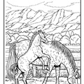 dibujo-de-caballo-002