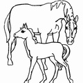 dibujo-de-caballo-003