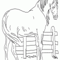 dibujo-de-caballo-035