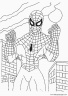 dibujos-de-spiderman-038
