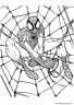 dibujos-de-spiderman-040