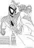 dibujos-de-spiderman-052