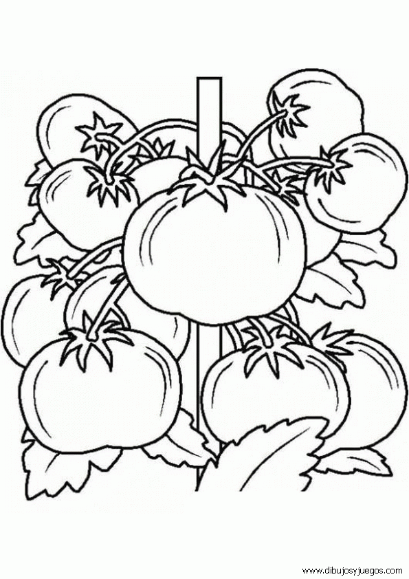 dibujos-de-tomates-006.gif