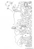 dibujos-de-animales-marinos-015