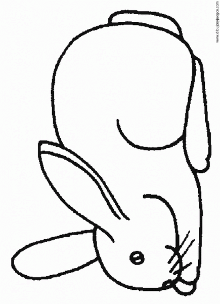 Fotos de como dibujar un conejo - Imagui