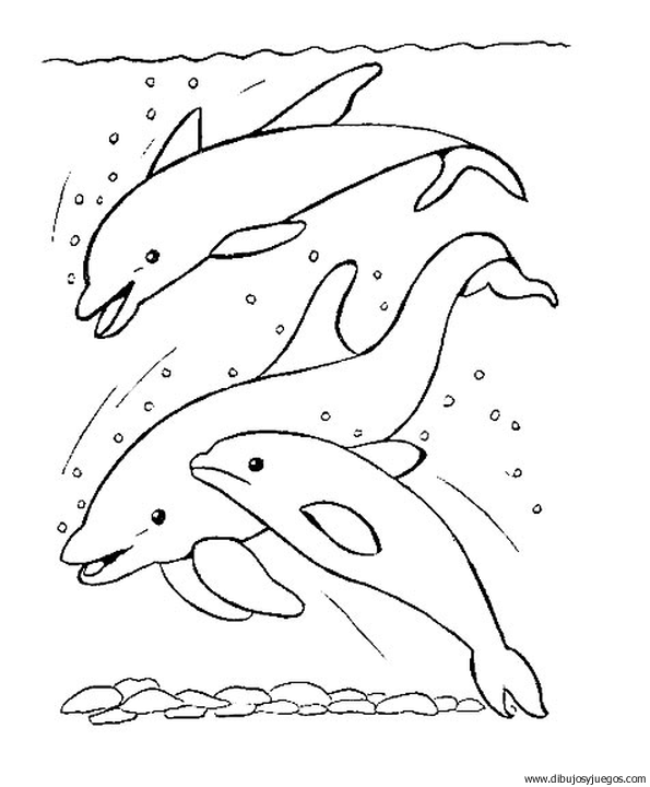dibujo-de-delfin-003.gif
