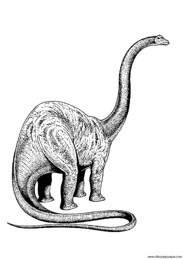 dibujo-de-dinosaurio-008.jpg
