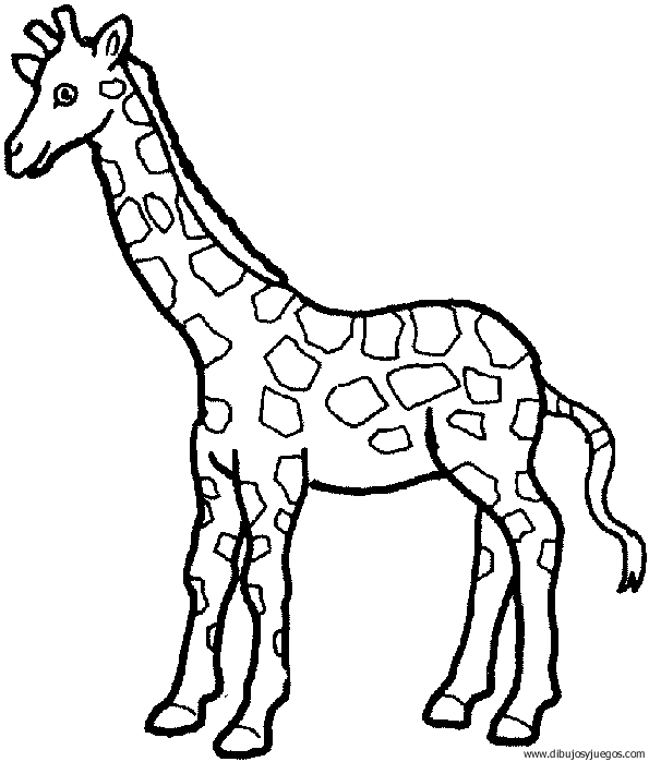 dibujo-de-girafa-011.gif