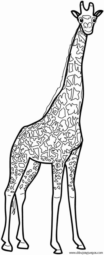 dibujo-de-girafa-015.gif