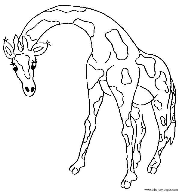 dibujo-de-girafa-032.gif