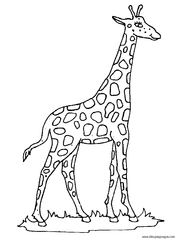 dibujo-de-girafa-033.gif