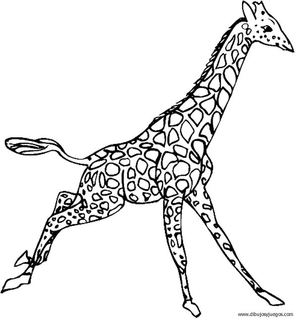 dibujo-de-girafa-043.gif