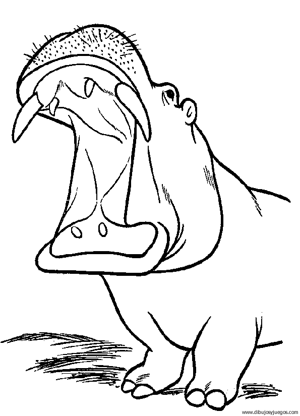 dibujo-de-hipopotamo-001.gif