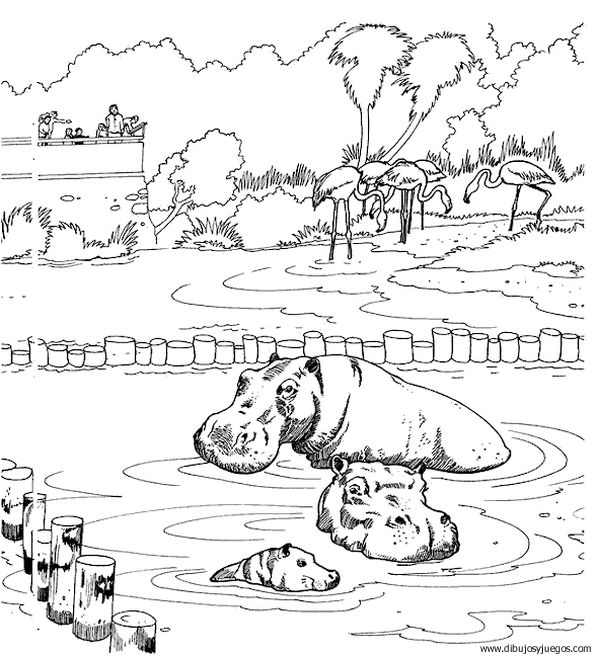 dibujo-de-hipopotamo-006.jpg