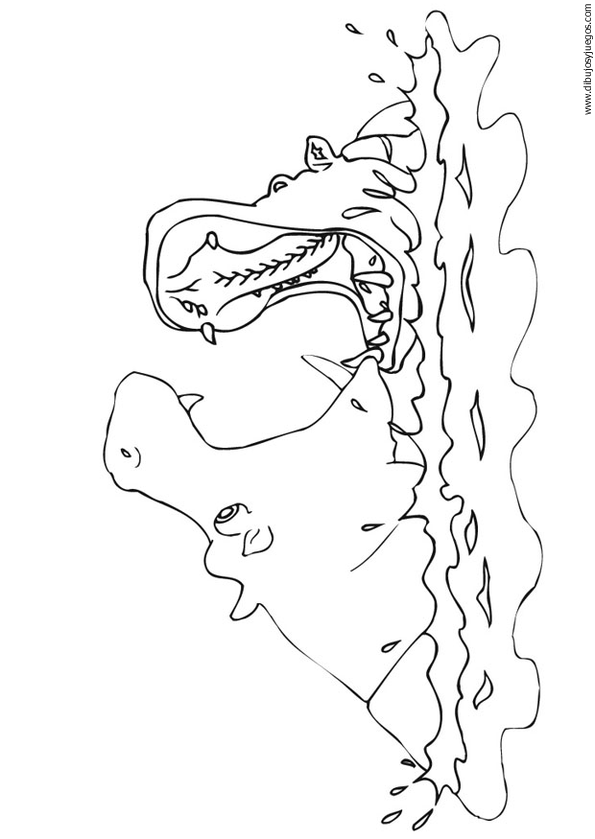 dibujo-de-hipopotamo-009.gif