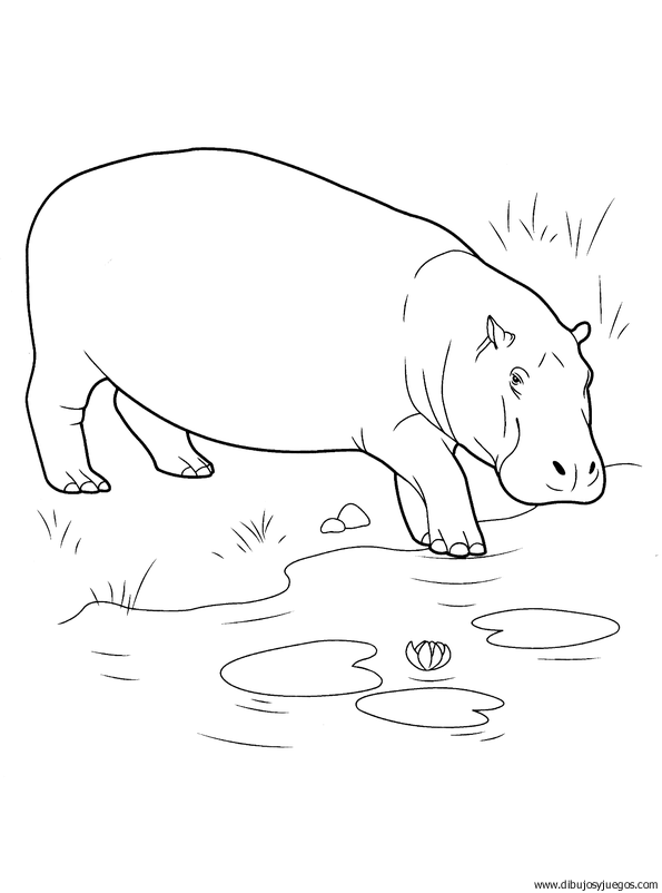 dibujo-de-hipopotamo-012.gif