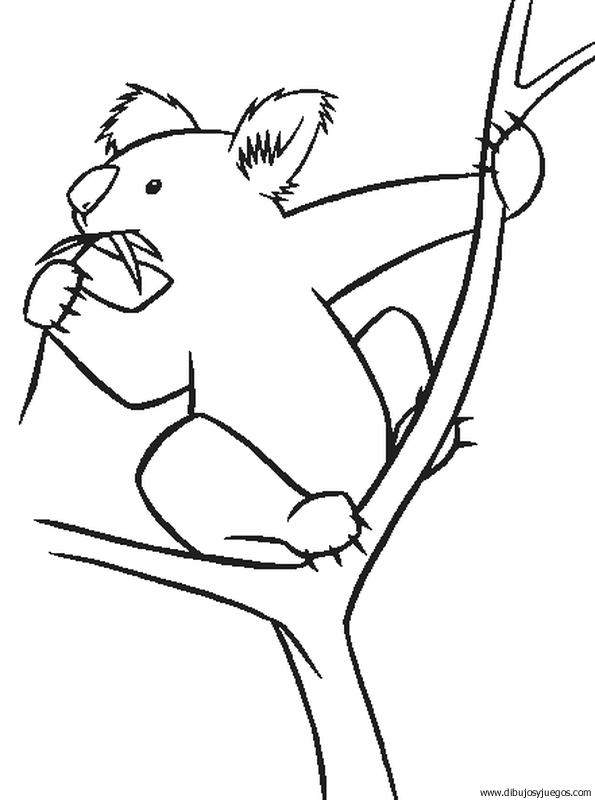 dibujo-de-koala-012.gif