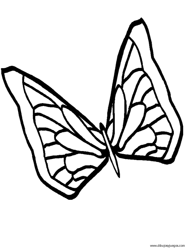 dibujo-de-mariposa-002.gif
