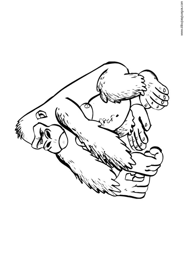 dibujo-de-gorila-001.gif
