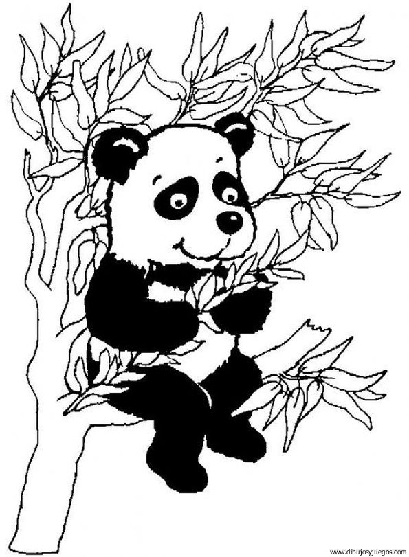 dibujo-de-oso-panda-003.jpg