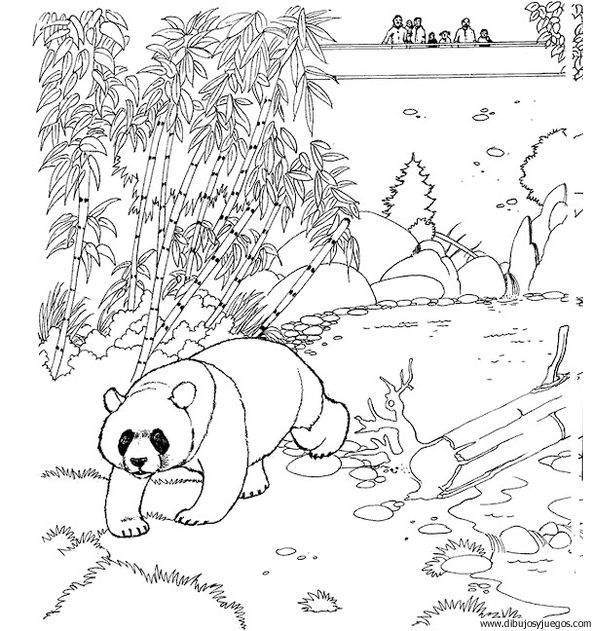 dibujo-de-oso-panda-006.jpg