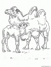camellos y dromedarios