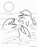dibujo-de-delfin-012
