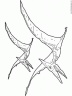 dibujo-de-dinosaurio-310