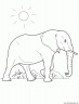 dibujo-de-elefante-036