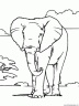 dibujo-de-elefante-063