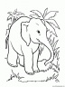 dibujo-de-elefante-075