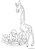 dibujo-de-girafa-025