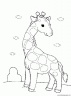 dibujo-de-girafa-039