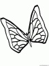 dibujo-de-mariposa-002